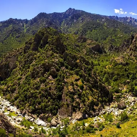 La Perle Du Valinco *